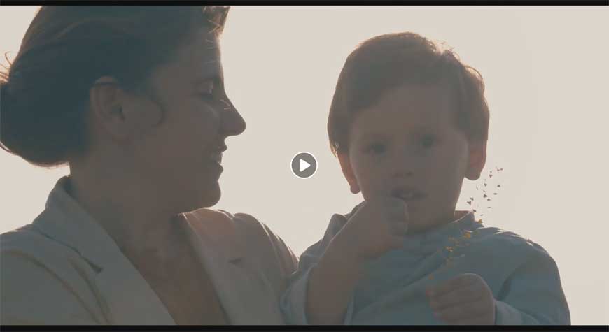 pbb video